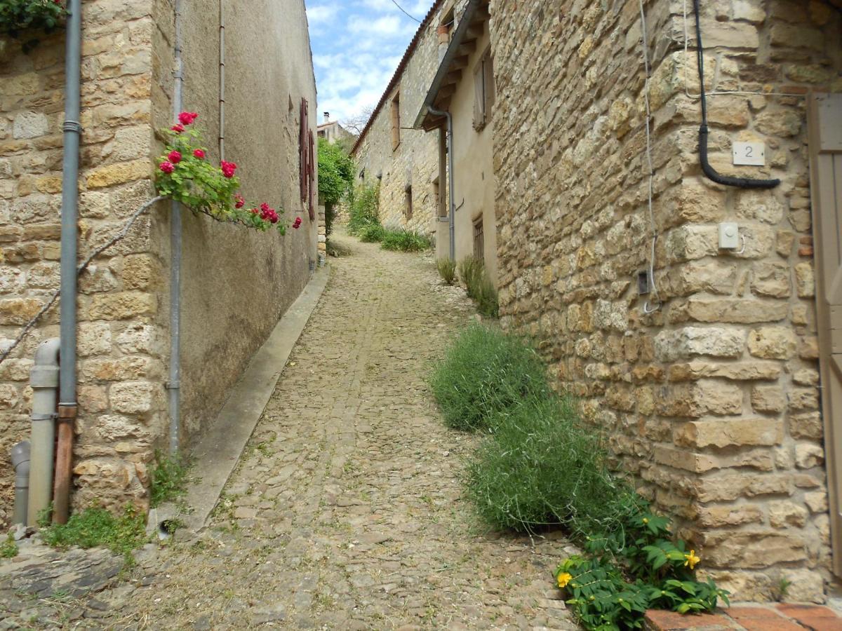 Rue Du Barri Apartment Cordes-sur-Ciel Bagian luar foto